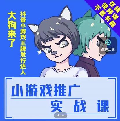 大狗来了：小游戏推广实战课，带你搭建一个游戏推广变现账号-三石资源库