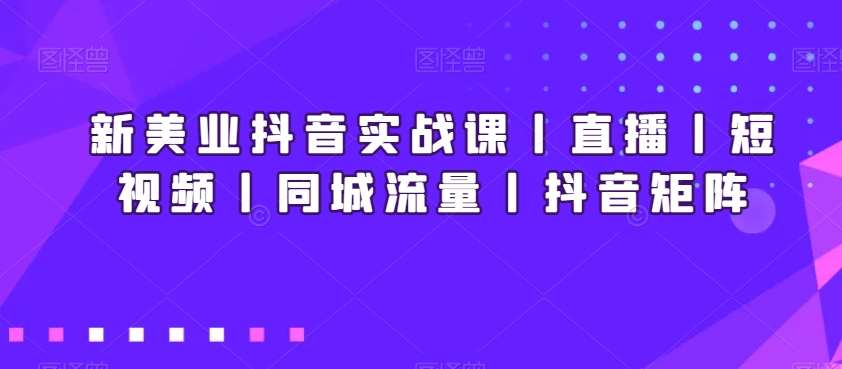 新美业抖音实战课丨直播丨短视频丨同城流量丨抖音矩阵-三石资源库