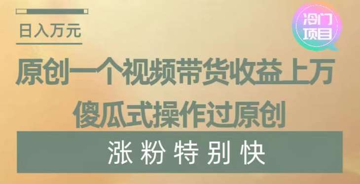 原创一个视频带货收益上万，傻瓜式操作过原创，几分钟做一个视频涨粉特别快【揭秘】-三石资源库