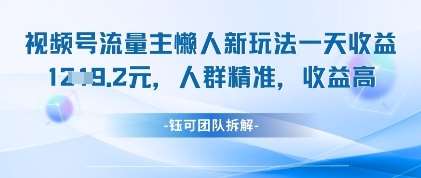 视频号流量主懒人新玩法，一天收益1k，人群精准收益高-三石淘金网
