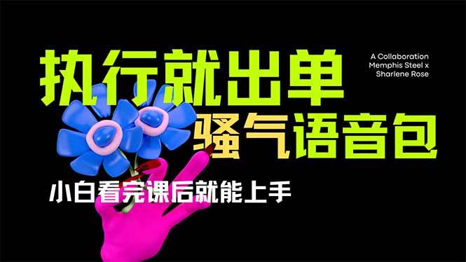 （14170期）爆火全网的开车导航骚气语音包,只要执行就出单，小白看完课程就能实操…-三石资源库