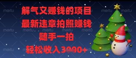 解气又挣钱的项目，最新违章拍照挣钱，随手一拍，轻松收入多张【揭秘】-三石资源库