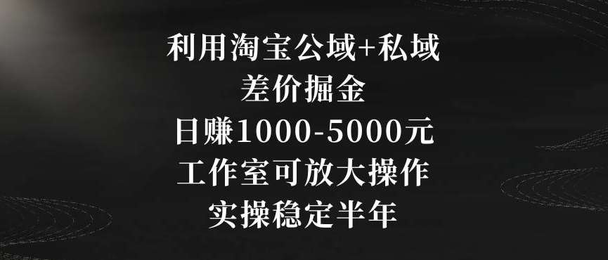 利用淘宝公域+私域差价掘金，日赚1000-5000元，工作室可放大操作，实操稳定半年【揭秘】-三石资源库
