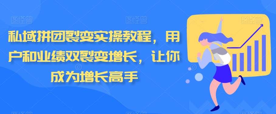 私域拼团裂变实操教程，用户和业绩双裂变增长，让你成为增长高手-三石淘金网