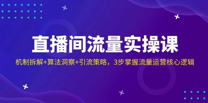 （14122期）直播间流量实操课：机制拆解+算法洞察+引流策略，3步掌握流量运营核心逻辑-三石资源库