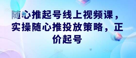 随心推起号线上视频课,实操随心推投放策略,正价起号-三石资源库