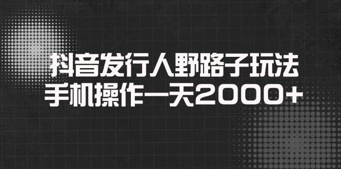 （14068期）抖音发行人野路子玩法，手机操作一天2000+-三石资源库