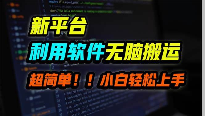 （9745期）新平台用软件无脑搬运，月赚10000+，小白也能轻松上手-三石资源库