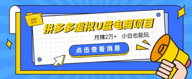 拼多多虚拟U盘电商红利项目：月赚2万+，新手小白也能玩-三石资源库