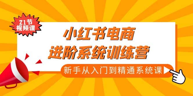 小红书电商进阶系统训练营：新手从入门到精通系统课（21节视频课）-三石资源库