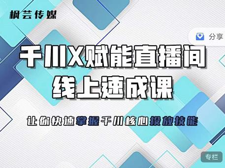 枫芸传媒-线上千川提升课，提升千川认知，提升千川投放效果-三石资源库
