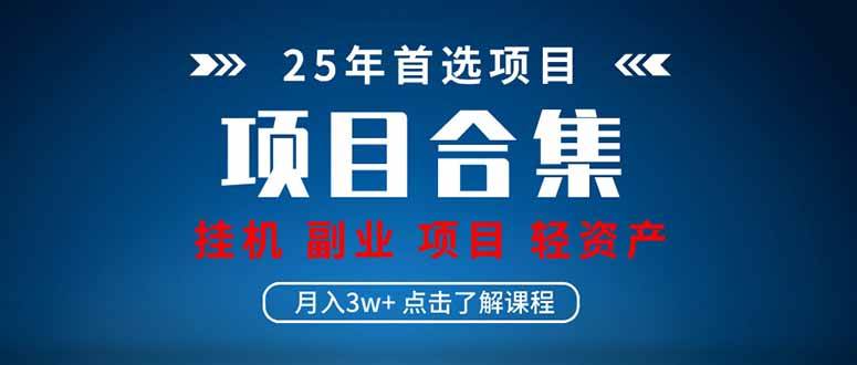 （14175期）2025 实操项目合集 挂机类型 直播类型 轻资产创业类型 课程分享各项目…-三石资源库