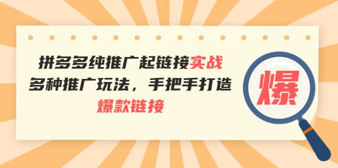 拼多多纯推广起链接实战：多种推广玩法，手把手打造爆款链接-三石资源库