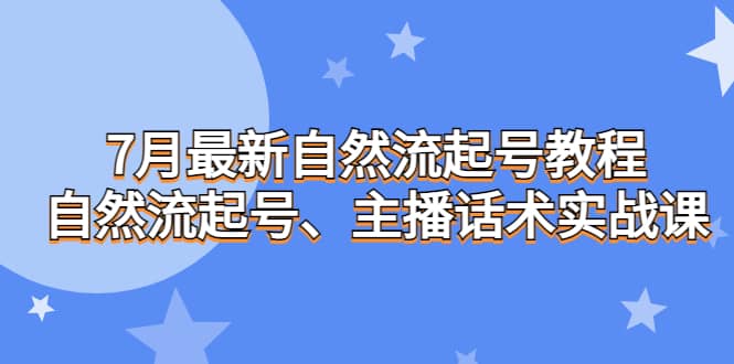 7月最新自然流起号教程，自然流起号、主播话术实战课-三石资源库