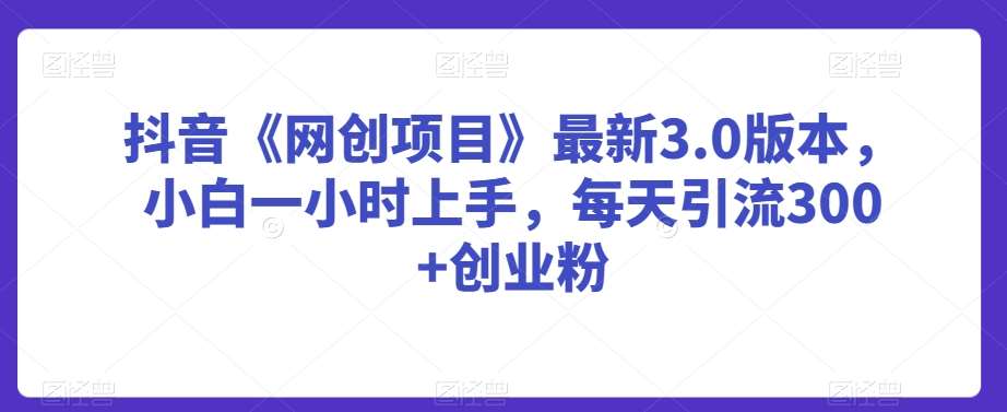 抖音《网创项目》最新3.0版本，小白一小时上手，每天引流300+创业粉【揭秘】-三石资源库