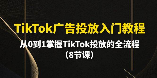 （10085期）TikTok广告投放入门教程，从0到1掌握TikTok投放的全流程（8节课）-三石资源库
