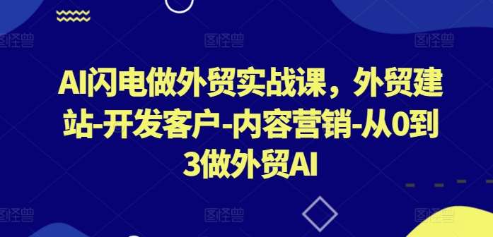AI闪电做外贸实战课,外贸建站-开发客户-内容营销-从0到3做外贸AI-三石资源库
