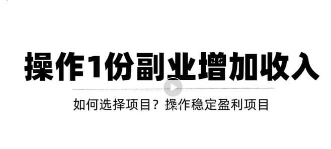 新手如何通过操作副业增加收入，从项目选择到玩法分享！【视频教程】-三石资源库