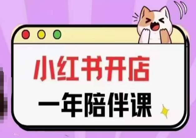 三九小红书开店一年陪伴课(更新)，从0到1玩赚小红书开店-三石资源库