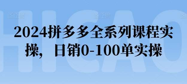 2024拼多多全系列课程实操，日销0-100单实操【必看】-三石资源库