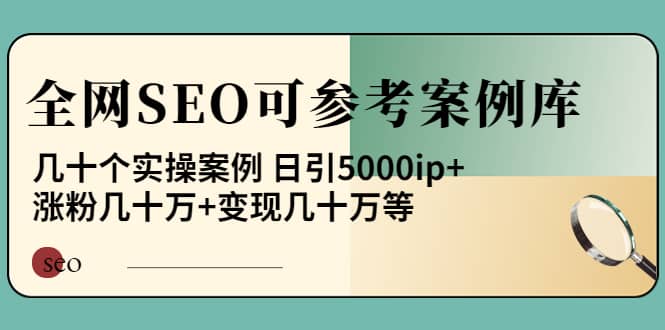 《全网SEO可参考案例库》几十个实操案例-三石资源库