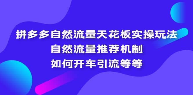 拼多多自然流量天花板实操玩法：自然流量推荐机制，如何开车引流等等-三石资源库