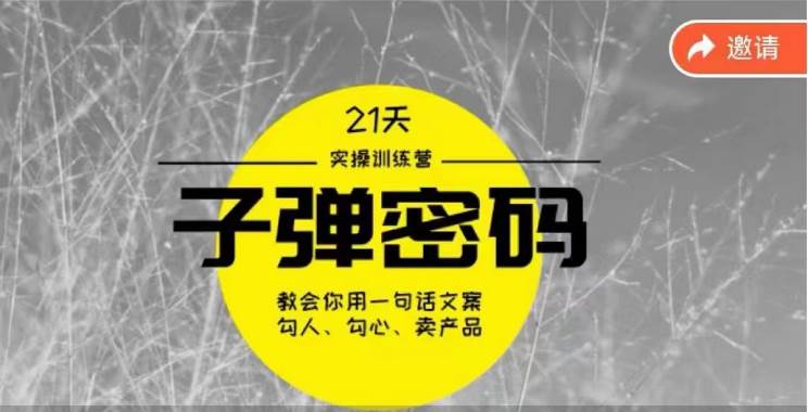 《子弹密码训练营》-用一句话文案勾人勾心卖产品，21天学到顶尖文案大师策略和技巧-三石资源库