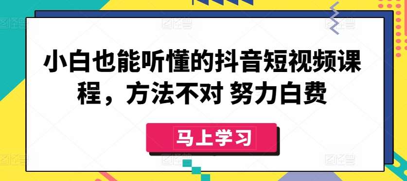小白也能听懂的抖音短视频课程,方法不对 努力白费-三石资源库
