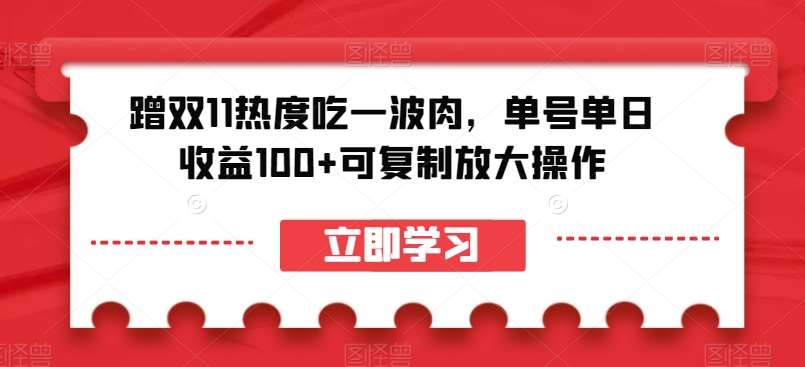 蹭双11热度吃一波肉，单号单日收益100+可复制放大操作【揭秘】-三石资源库