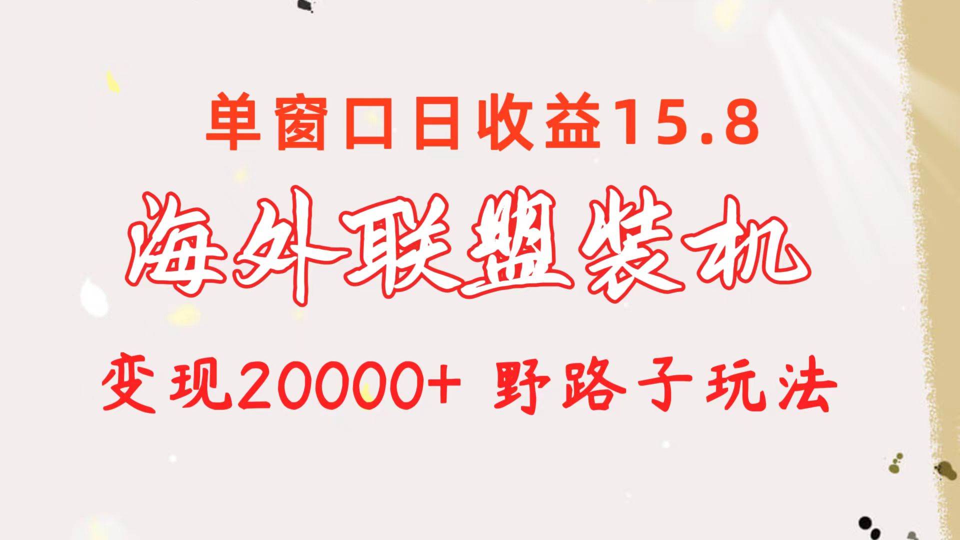 （10475期）海外联盟装机 单窗口日收益15.8  变现20000+ 野路子玩法-三石资源库