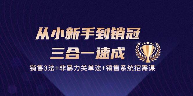 从小新手到销冠三合一速成：销售3法+非暴力关单法+销售系统挖需课 (27节)-三石资源库