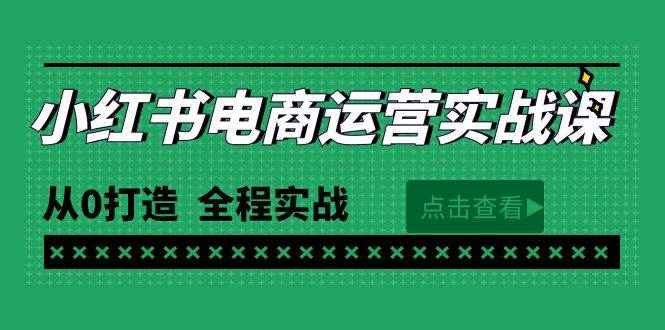 （9946期）最新小红书·电商运营实战课，从0打造  全程实战（65节视频课）-三石资源库
