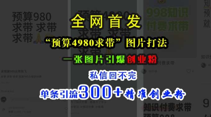 小红书“预算4980带我飞”图片打法，一张图片引爆创业粉，私信回不完，单条引流300+精准创业粉-三石资源库
