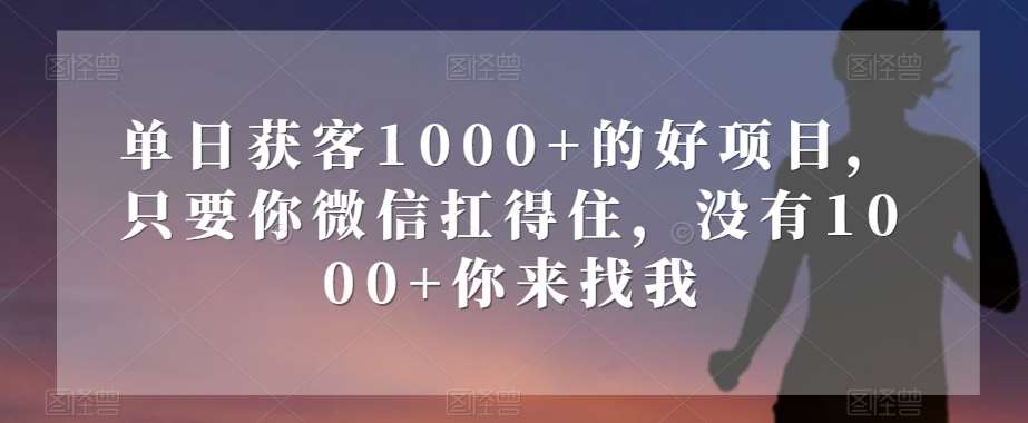 单日获客1000+的好项目，只要你微信扛得住，没有1000+你来找我【揭秘】-三石资源库