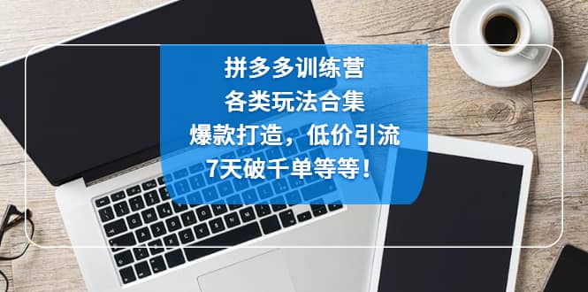 拼多多训练营：各玩法合集，爆款打造，低价引流，7天破千单等等-三石资源库