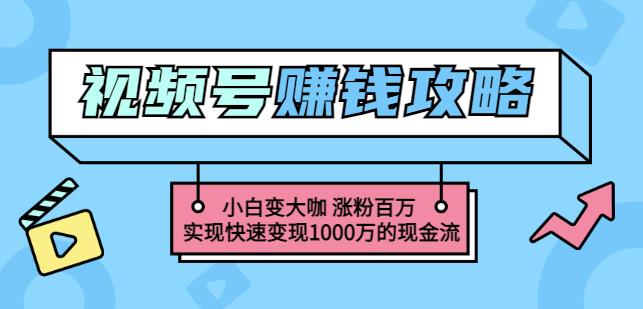 玩转微信视频号赚钱：小白变大咖涨粉百万实现快速变现1000万的现金流-三石资源库