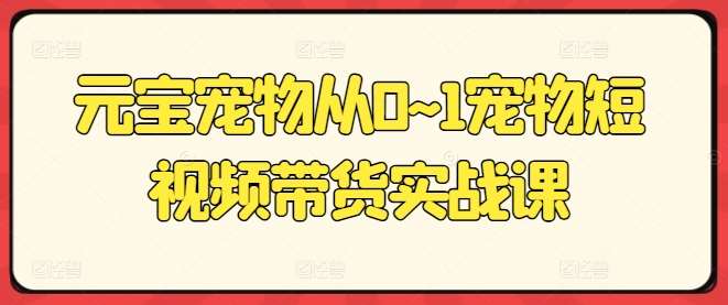 元宝宠物从0~1宠物短视频带货实战课-三石淘金网
