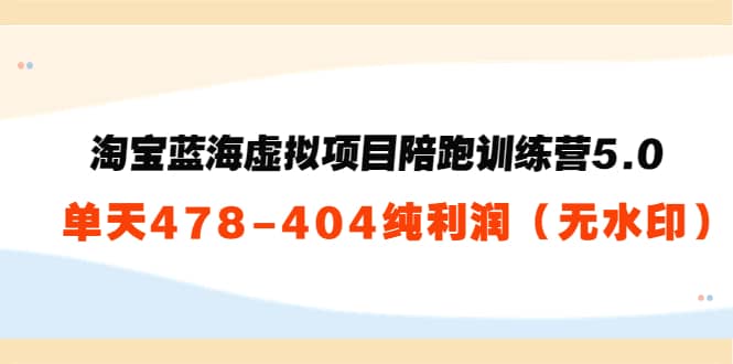 淘宝蓝海虚拟项目陪跑训练营5.0：单天478纯利润（无水印）-三石资源库