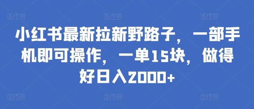 小红书最新拉新野路子，一部手机即可操作，一单15块，做得好日入2000+【揭秘】-三石淘金网