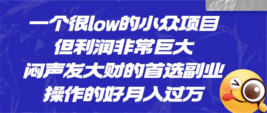 一个很low的小众项目，但利润非常巨大，闷声发大财的首选副业，月入过万-三石资源库