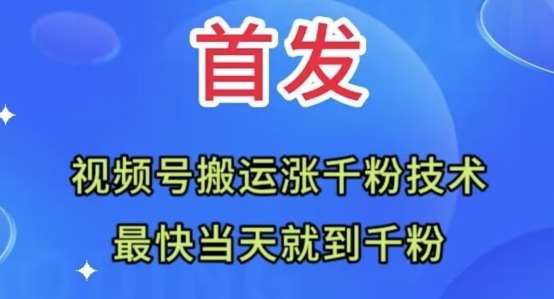 全网首发：视频号无脑搬运涨千粉技术，最快当天到千粉【揭秘】-三石资源库