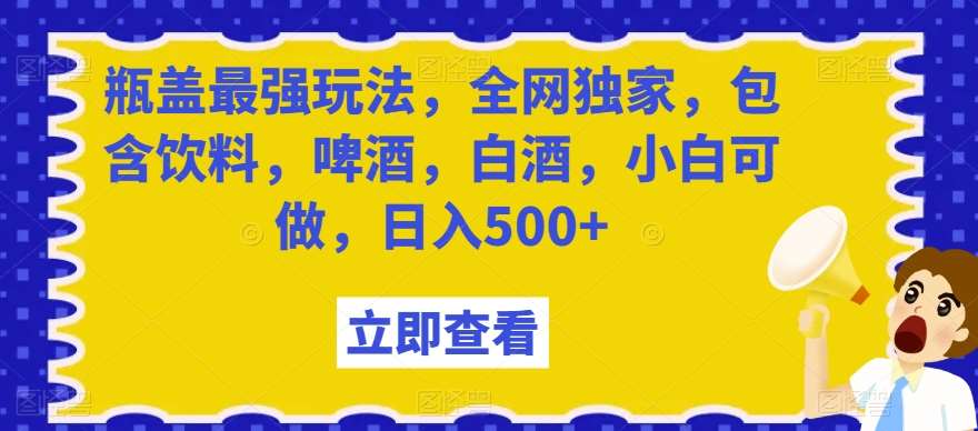 瓶盖最强玩法，全网独家，包含饮料，啤酒，白酒，小白可做，日入500+【揭秘】-三石资源库