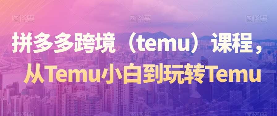 拼多多跨境（temu）课程，从Temu小白到玩转Temu-三石资源库