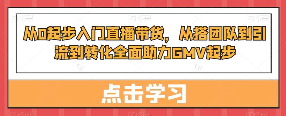 从0起步入门直播带货，​从搭团队到引流到转化全面助力GMV起步-三石淘金网