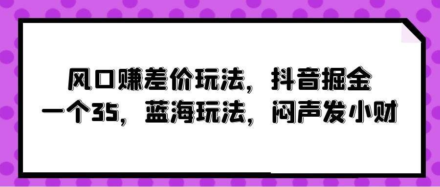 （10022期）风口赚差价玩法，抖音掘金，一个35，蓝海玩法，闷声发小财-三石资源库