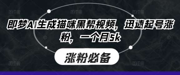 即梦AI生成猫咪黑帮视频，迅速起号涨粉，一个月5k-三石资源库