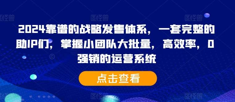 2024靠谱的战略发售体系，一套完整的助IP们，掌握小团队大批量，高效率，0 强销的运营系统-三石资源库