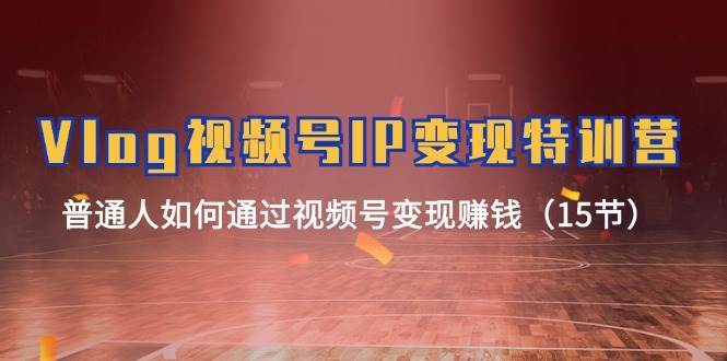 Vlog视频号IP变现特训营，普通人如何通过视频号变现赚钱（15节）-三石淘金网