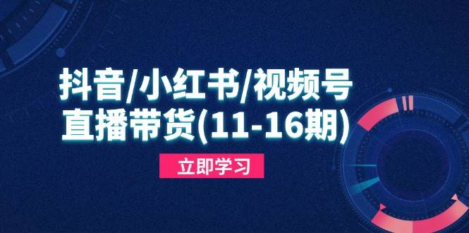 （14611期）抖音/小红书/视频号/直播带货(11-16期)，快速掌握平台规则，打造爆款内容-三石资源库