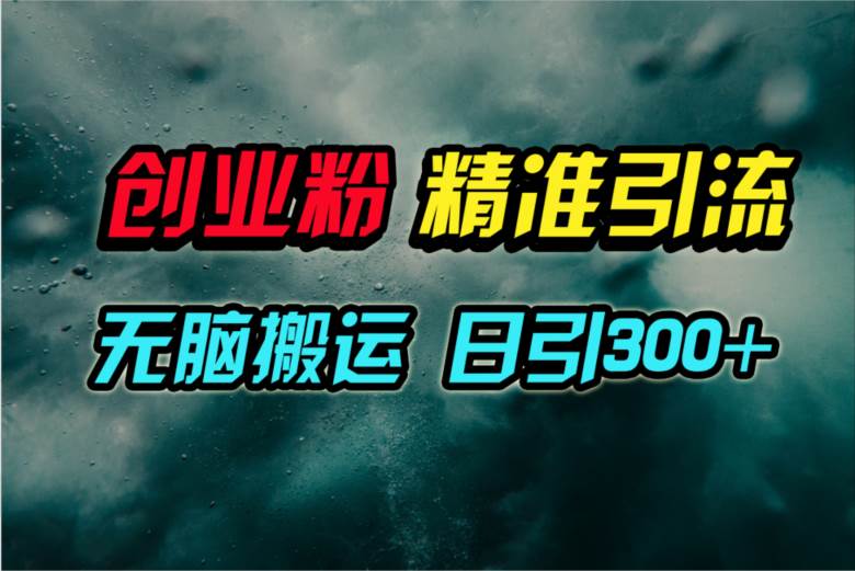 （9875期）视频号纯搬运日引300+创业粉教程！-三石淘金网